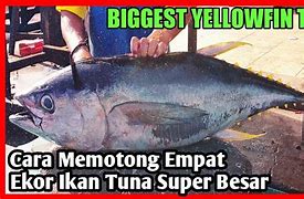 1 Potong Ikan Tuna